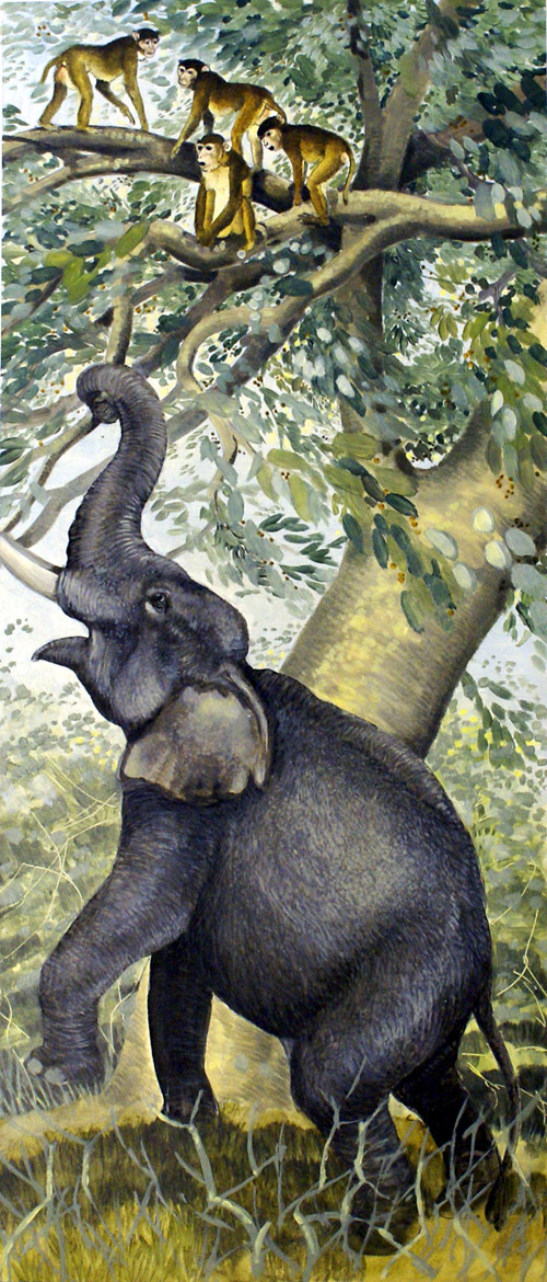 African Elephant (Original) by G W Backhouse Art at The Illustration Art Gallery
