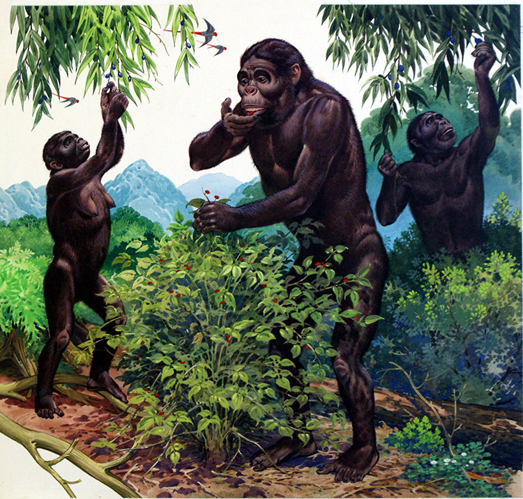 Primates Eating Berries (Original) by Bernard Long Art at The Illustration Art Gallery