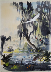 The Beautiful Swamp art by John Worsley